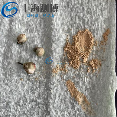 低溫破壁新突破！冷凍研磨儀解鎖山茶花活性成分高效提取密碼